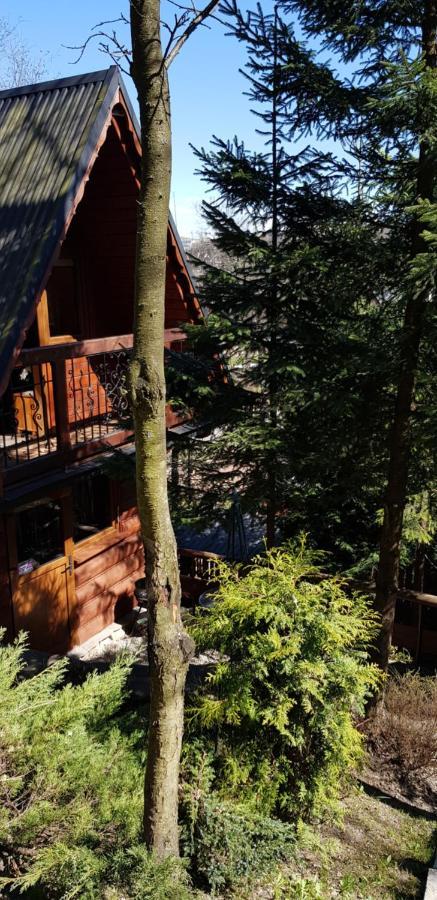 Domek letniskowy Mroz Zakopane