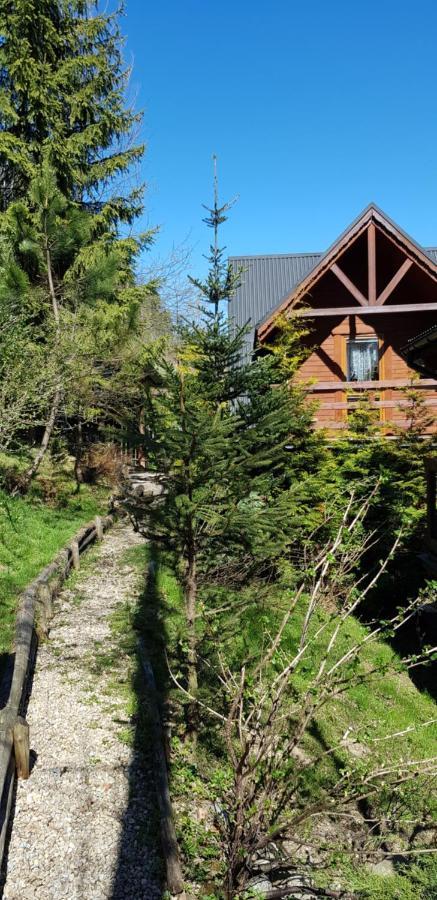 Mroz Zakopane
